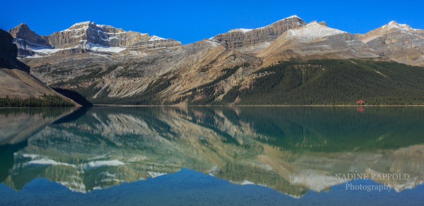 Bow Lake Spiegelung, Kanada