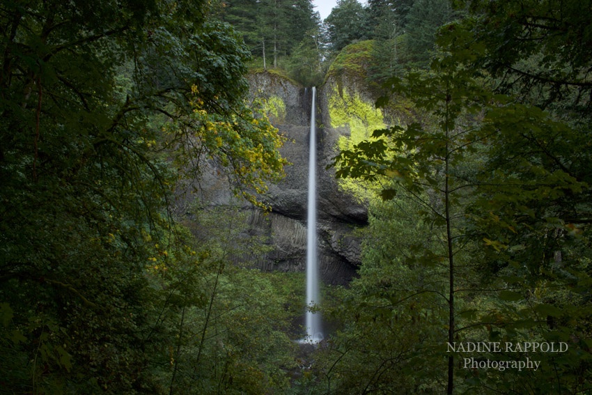 Oregon Latourell Falls Wasserfall