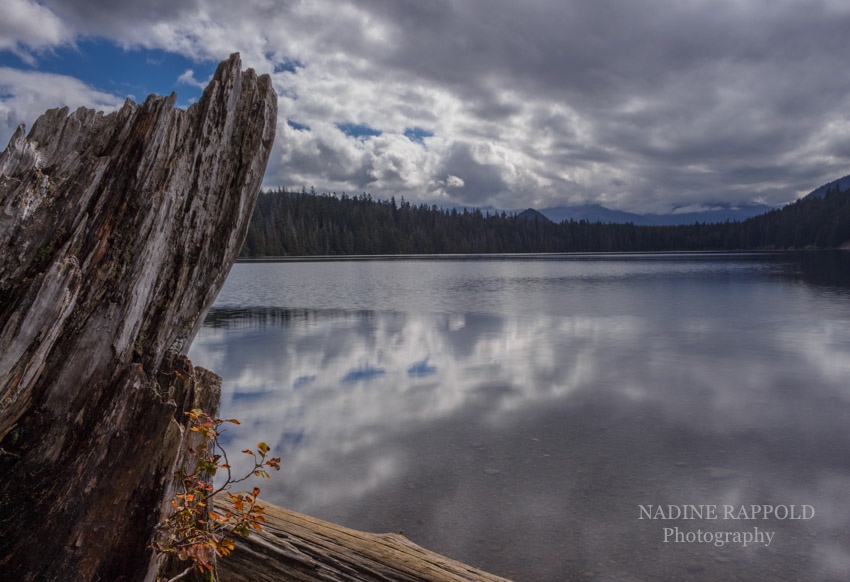 Lost Lake mit Baumstumpf in Oregon, USA