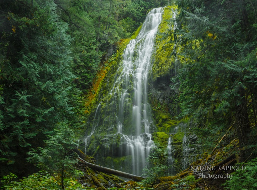 Upper Proxy Falls in Oregon, USA
