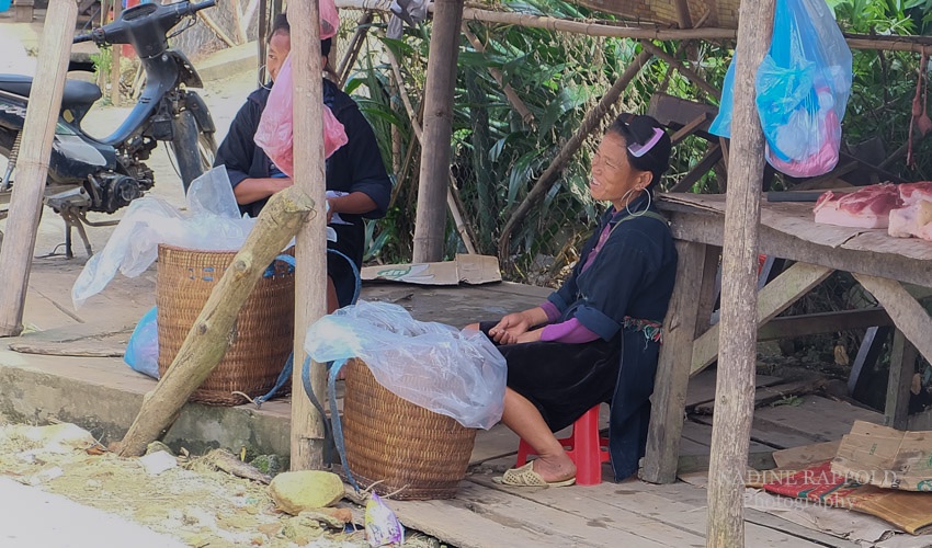 Sapa Vietnam Frauen Verkäuferin Fleisch