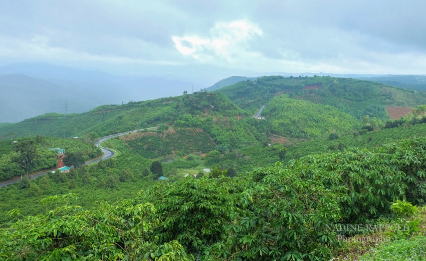 Vietnam Motorradtour Landschaft Berge grün