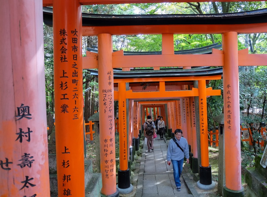 Rote Torii Gates im Fushimi Inari Kaisha Schrein in Inari, Japan