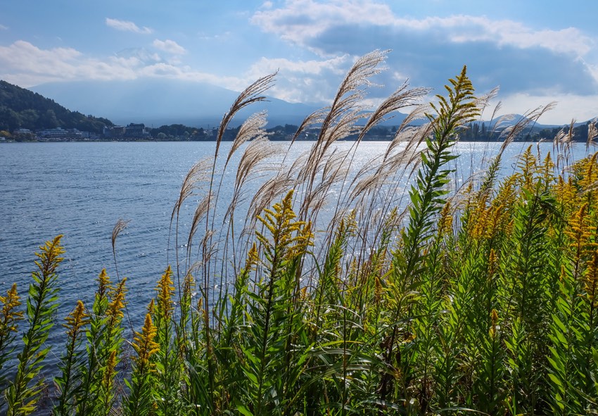 Der Lake Kawaguchiko See in Japan mit dem Mount Fuji im Hintergrund