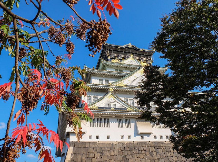 Buntes Herbstlaub vorm Osaka Schloß, Japan