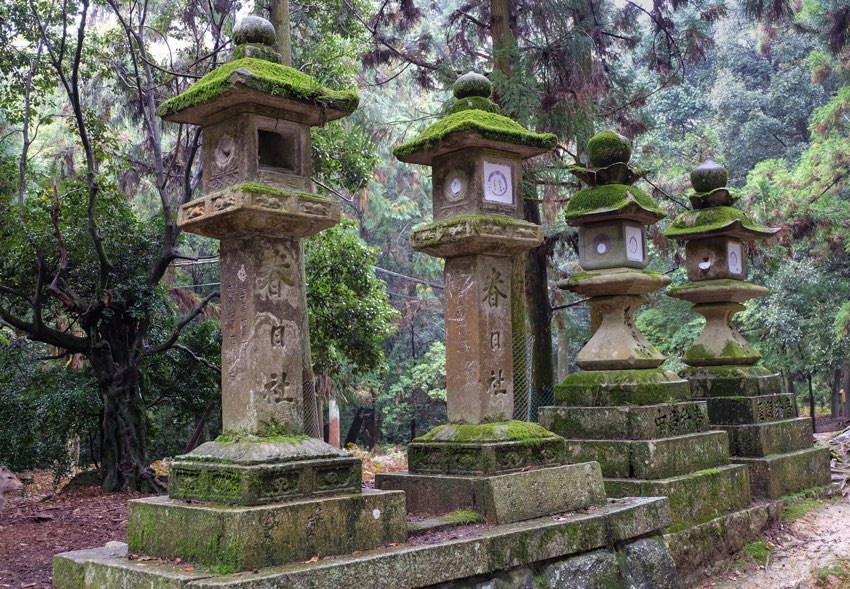 Nahaufnahme der berühmten Steinlaternen im Nara Pa